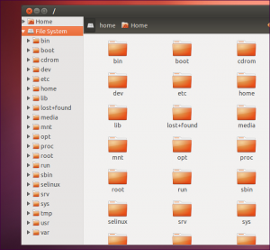 Ubuntu (Linux distro) File System